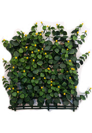 GRAMA ARTIFICIAL PARED 100X100CM